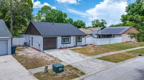 12360 Witheridge Drive Tampa FL 33624