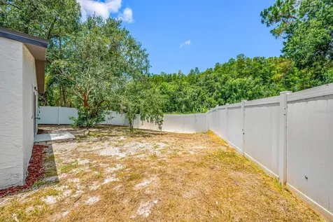 12360 Witheridge Drive Tampa FL 33624