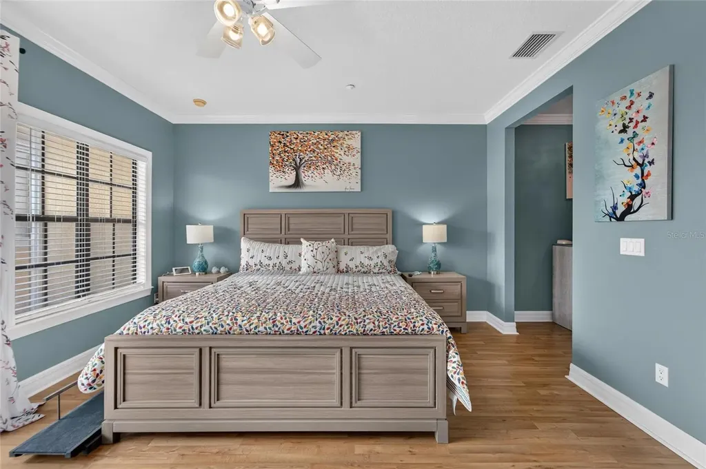 6407 Mayra Shores Lane Apollo Beach FL 33572