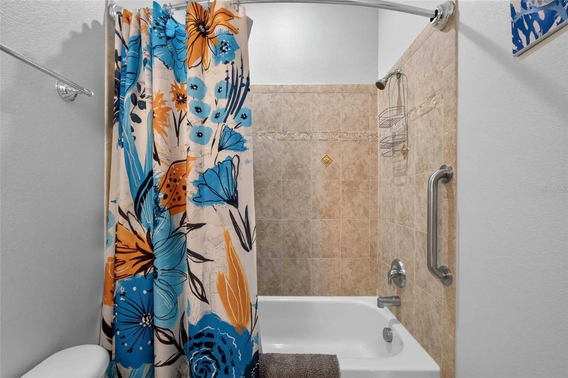 6407 Mayra Shores Lane Apollo Beach FL 33572