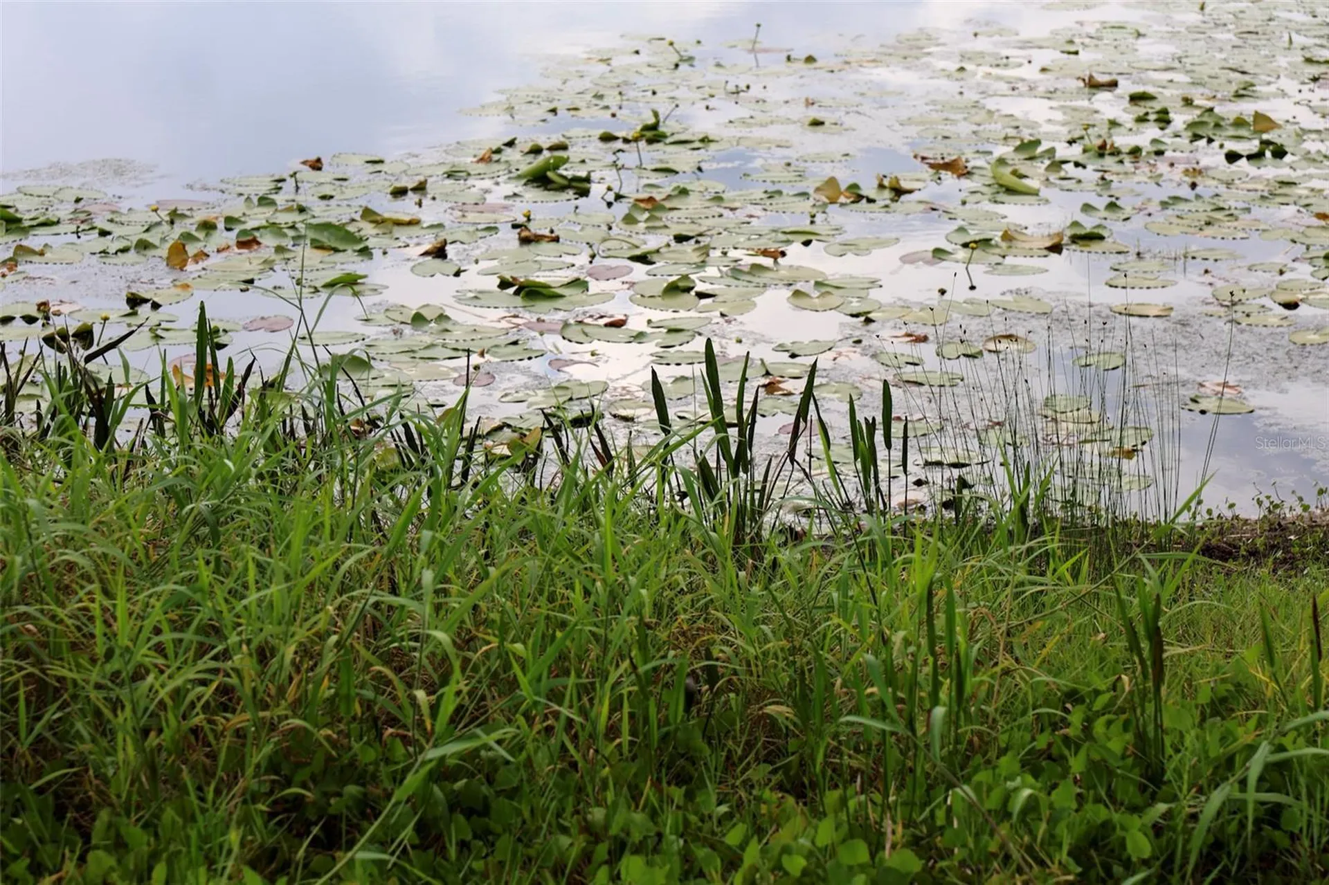 730 Crystal Lake Road Lutz FL 33548