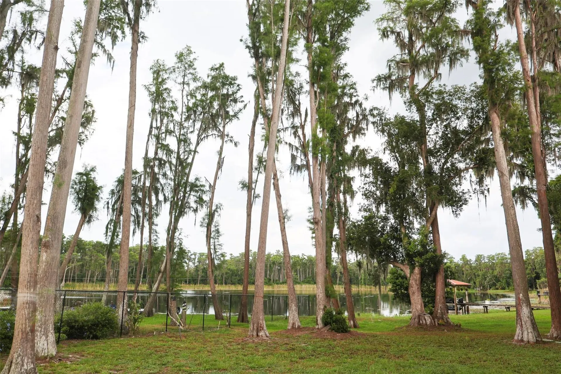730 Crystal Lake Road Lutz FL 33548