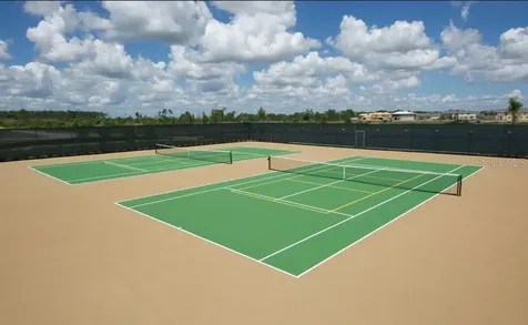 1173 Kingsbarn Street Davenport FL 33896