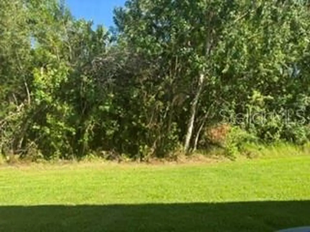 11253 Windsor Place Circle Tampa FL 33626