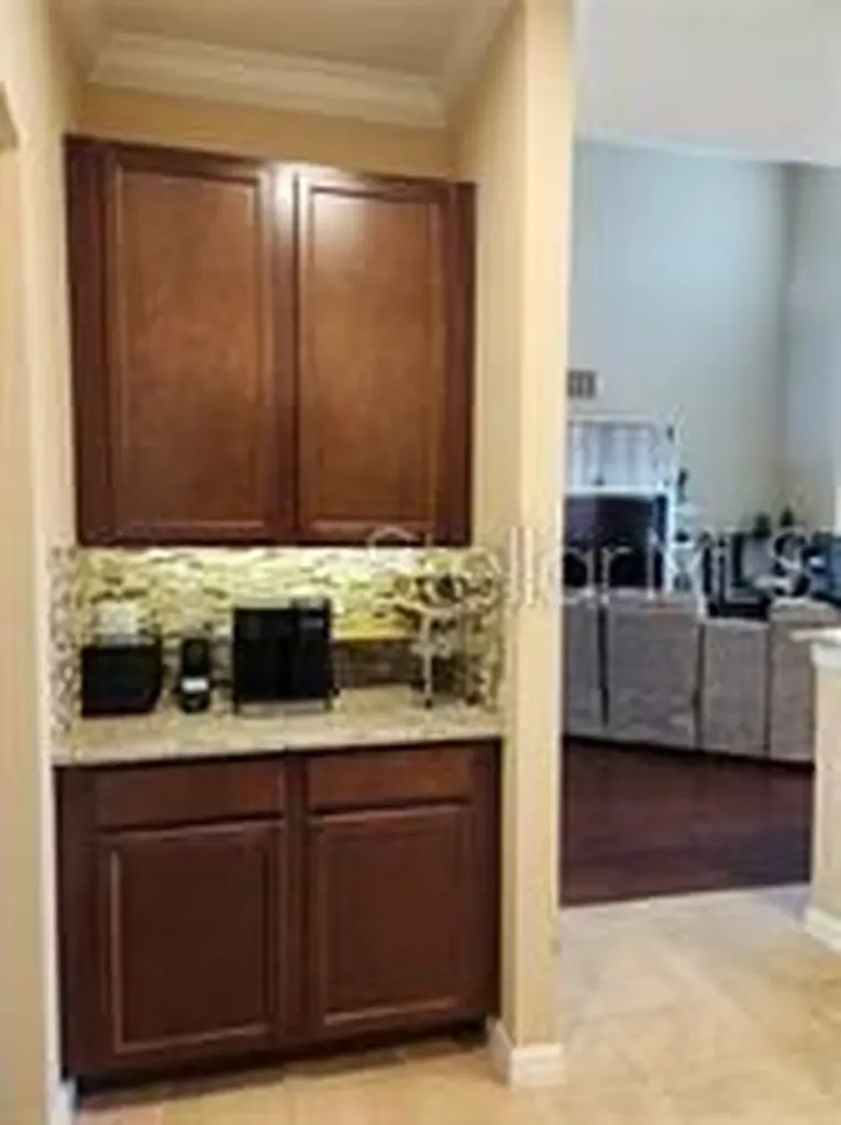 17419 Bella Nova Drive Orlando FL 32820
