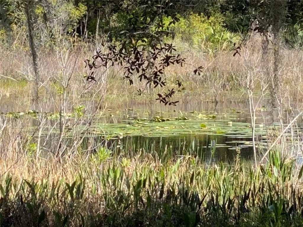 25517 Laurel Valley Road Leesburg FL 34748