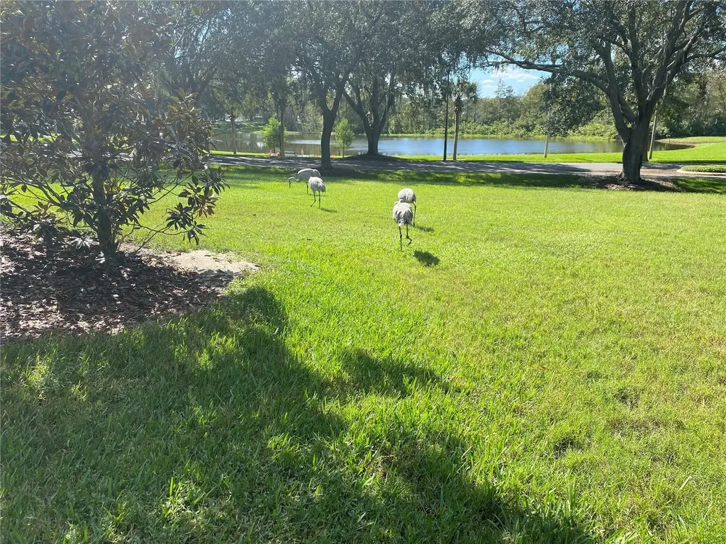 25517 Laurel Valley Road Leesburg FL 34748