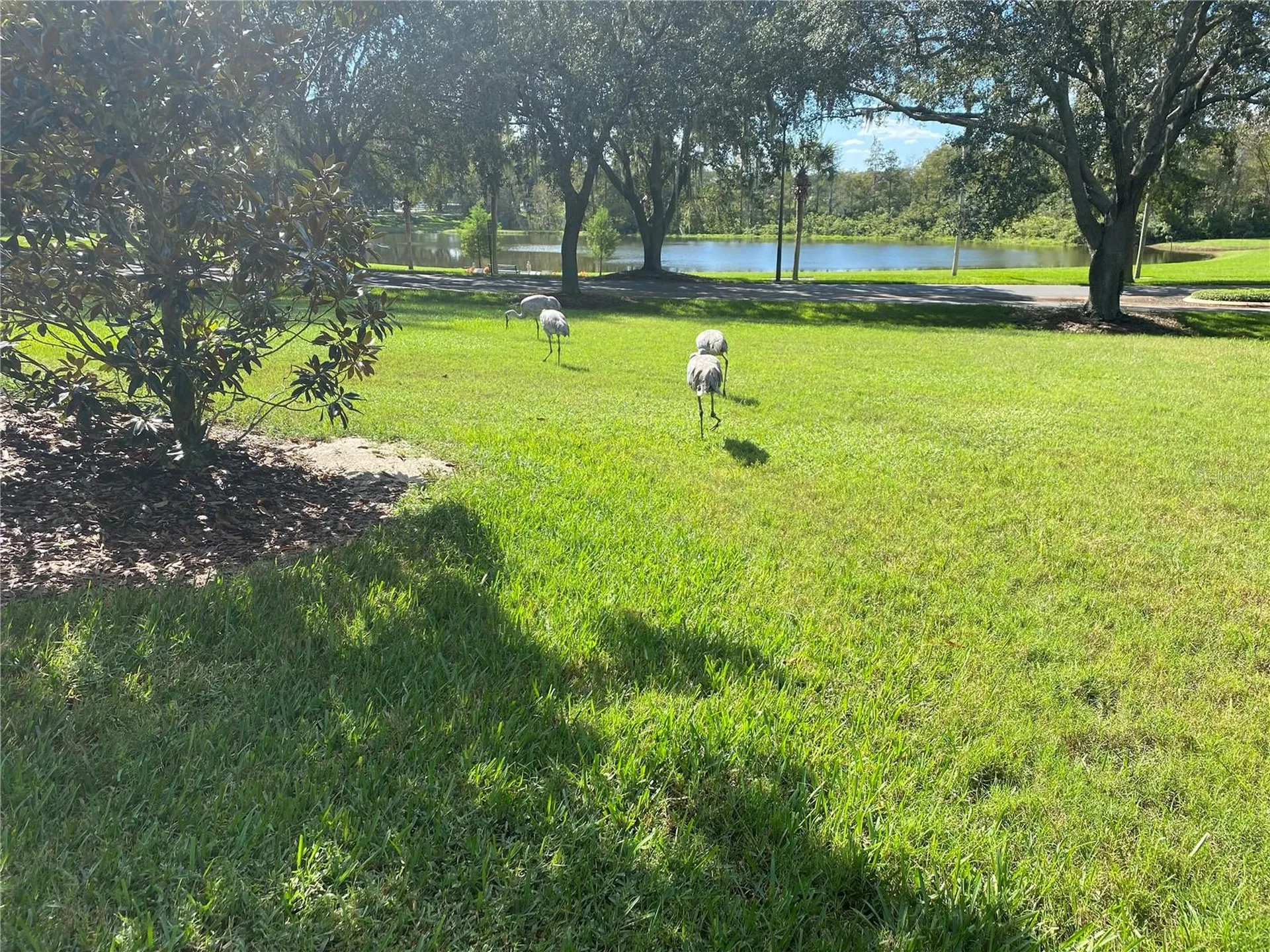 25517 Laurel Valley Road Leesburg FL 34748