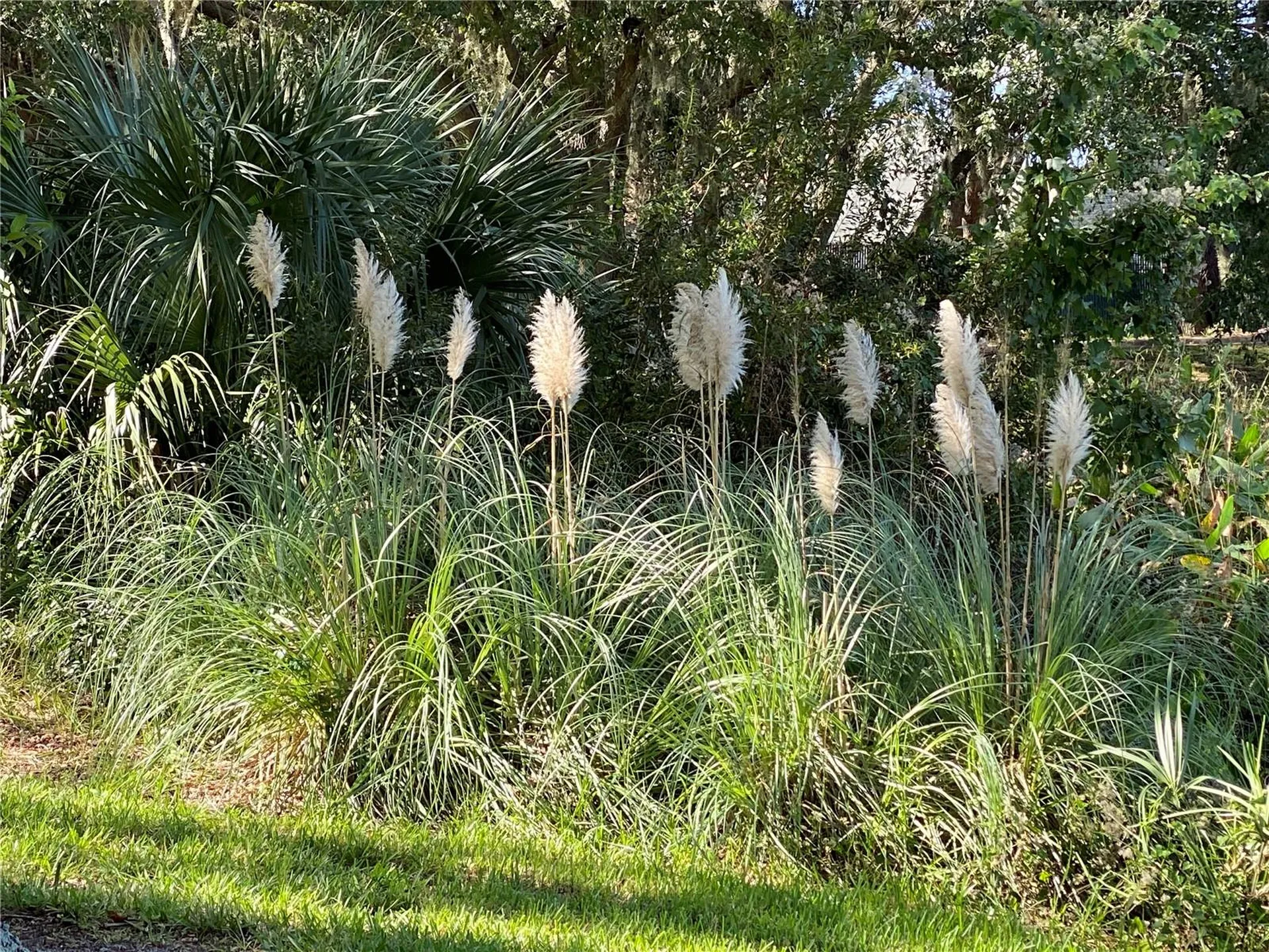 25517 Laurel Valley Road Leesburg FL 34748
