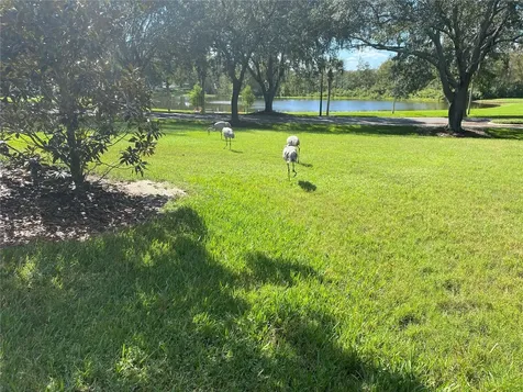 25517 Laurel Valley Road Leesburg FL 34748