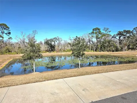2333 Penguin Boulevard Davenport FL 33837