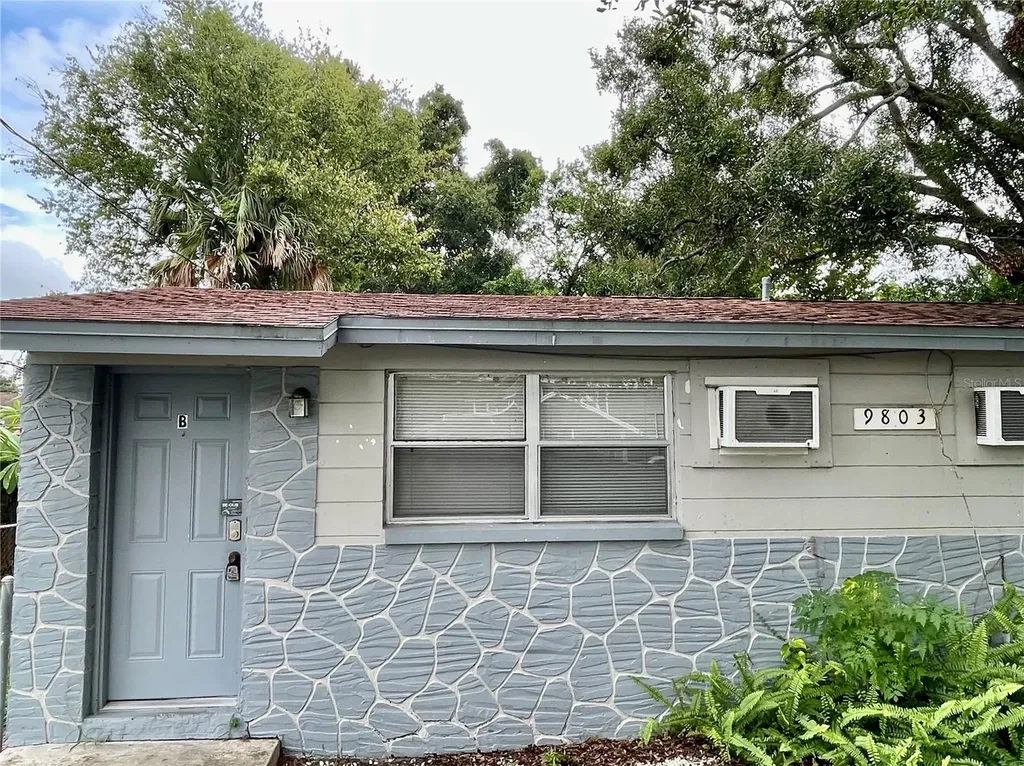 9803 N 11th Street Tampa FL 33612