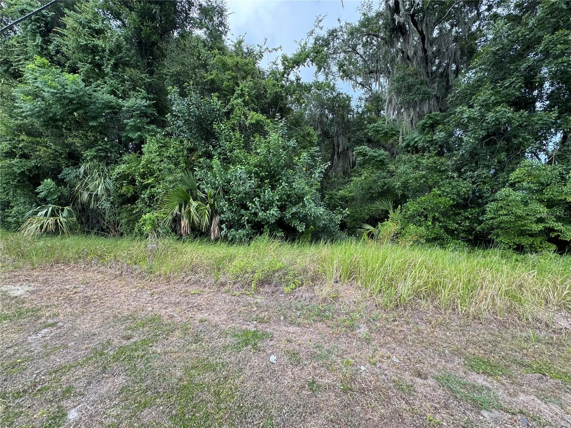 0000 NW Martin Luther King Avenue Ocala FL 34471