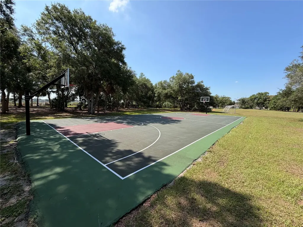 7016 Jamestown Manor Drive Riverview FL 33578