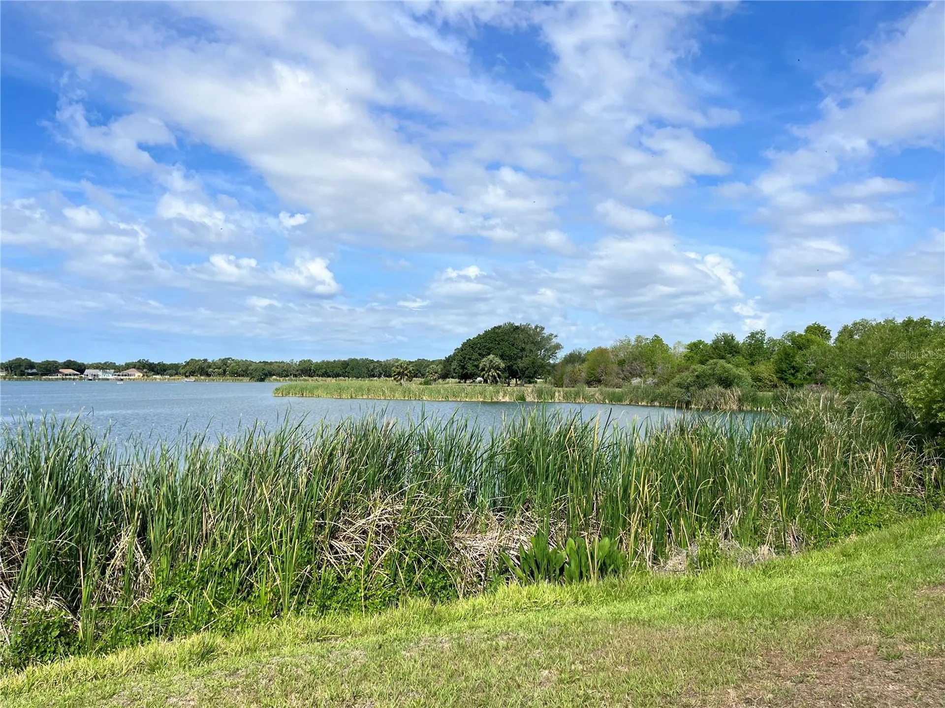 7016 Jamestown Manor Drive Riverview FL 33578