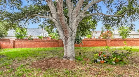 7016 Jamestown Manor Drive Riverview FL 33578