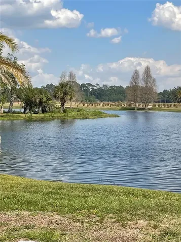 1249 Yellow Finch Drive Davenport FL 33837