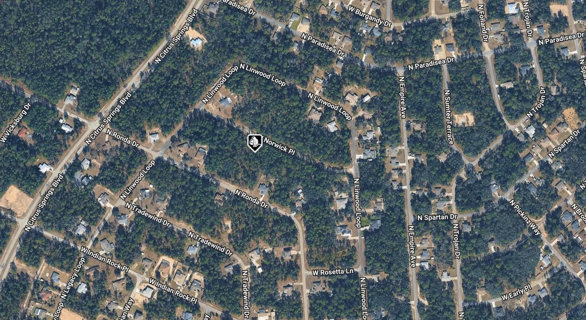 3690 W Norwick Place Dunnellon FL 34433