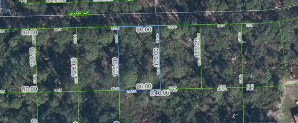 3224 Spoonbill Avenue Lake Placid FL 33852