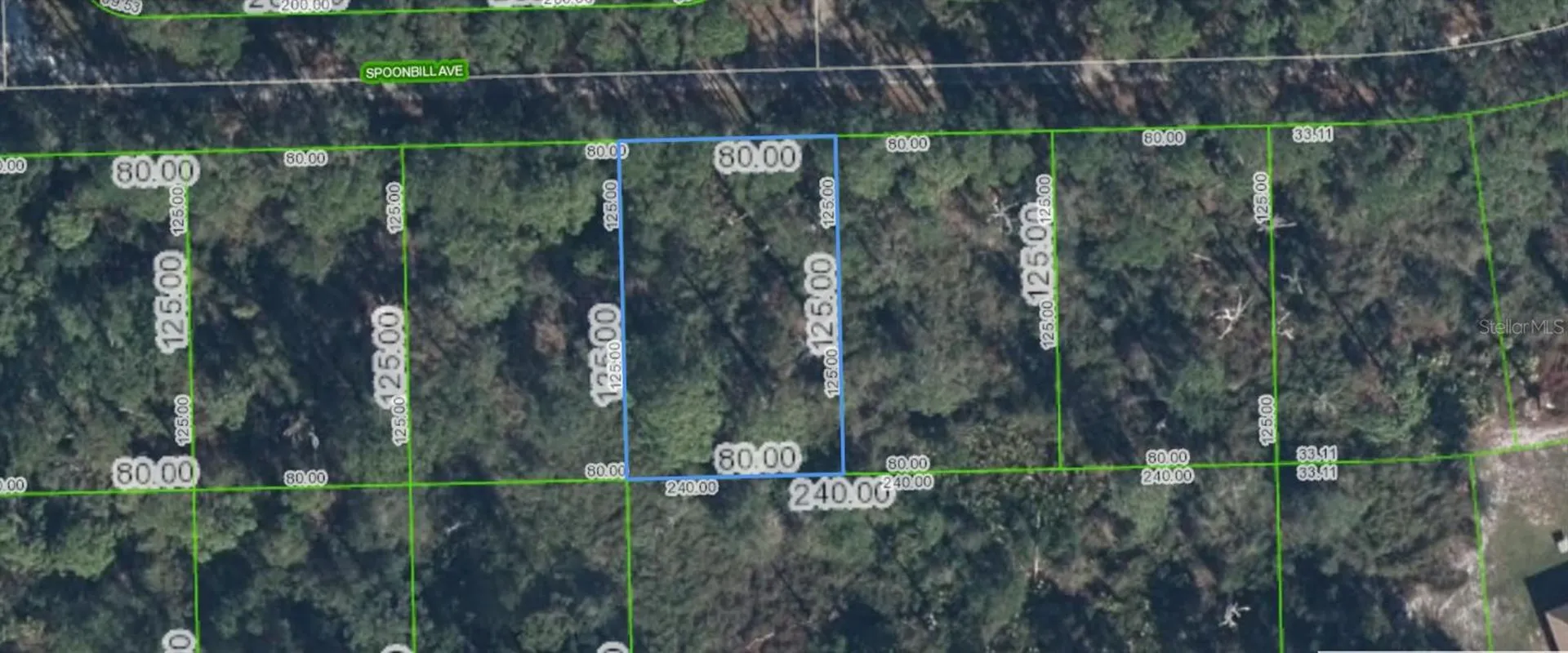 3224 Spoonbill Avenue Lake Placid FL 33852