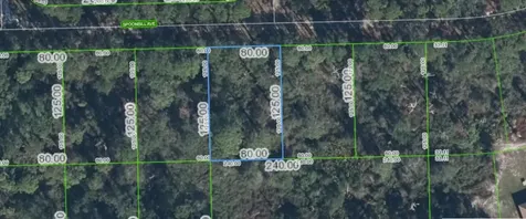 3224 Spoonbill Avenue Lake Placid FL 33852