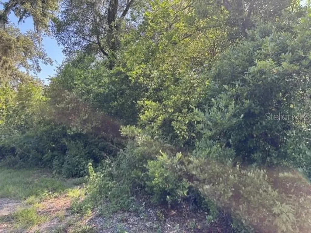7157 Glory Road Zephyrhills FL 33540