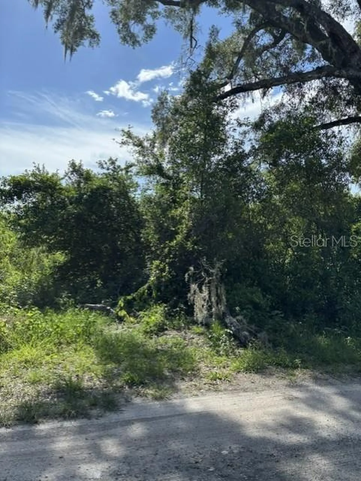 7157 Glory Road Zephyrhills FL 33540