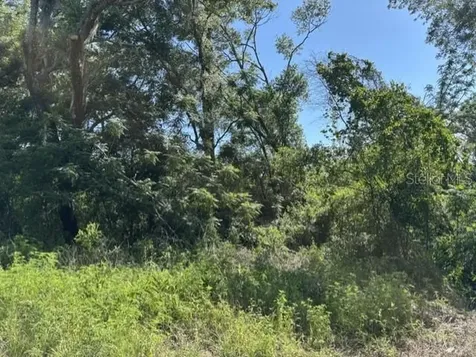 7157 Glory Road Zephyrhills FL 33540