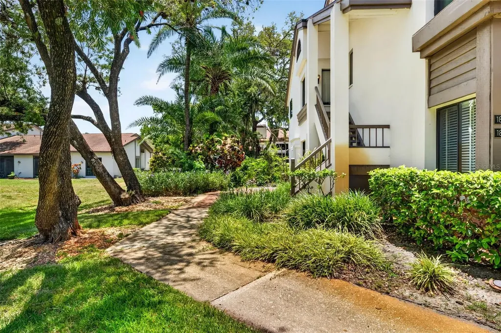 1846 Lake Cypress Drive Safety Harbor FL 34695