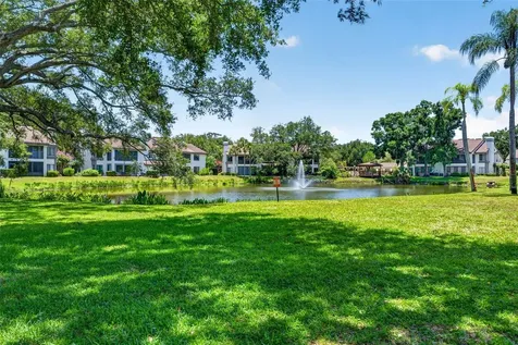 1846 Lake Cypress Drive Safety Harbor FL 34695
