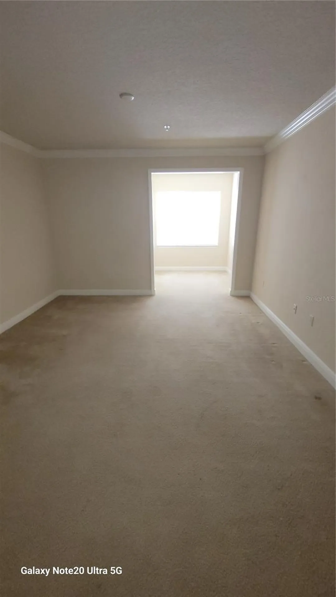 430 Southern Pecan Circle Winter Garden FL 34787