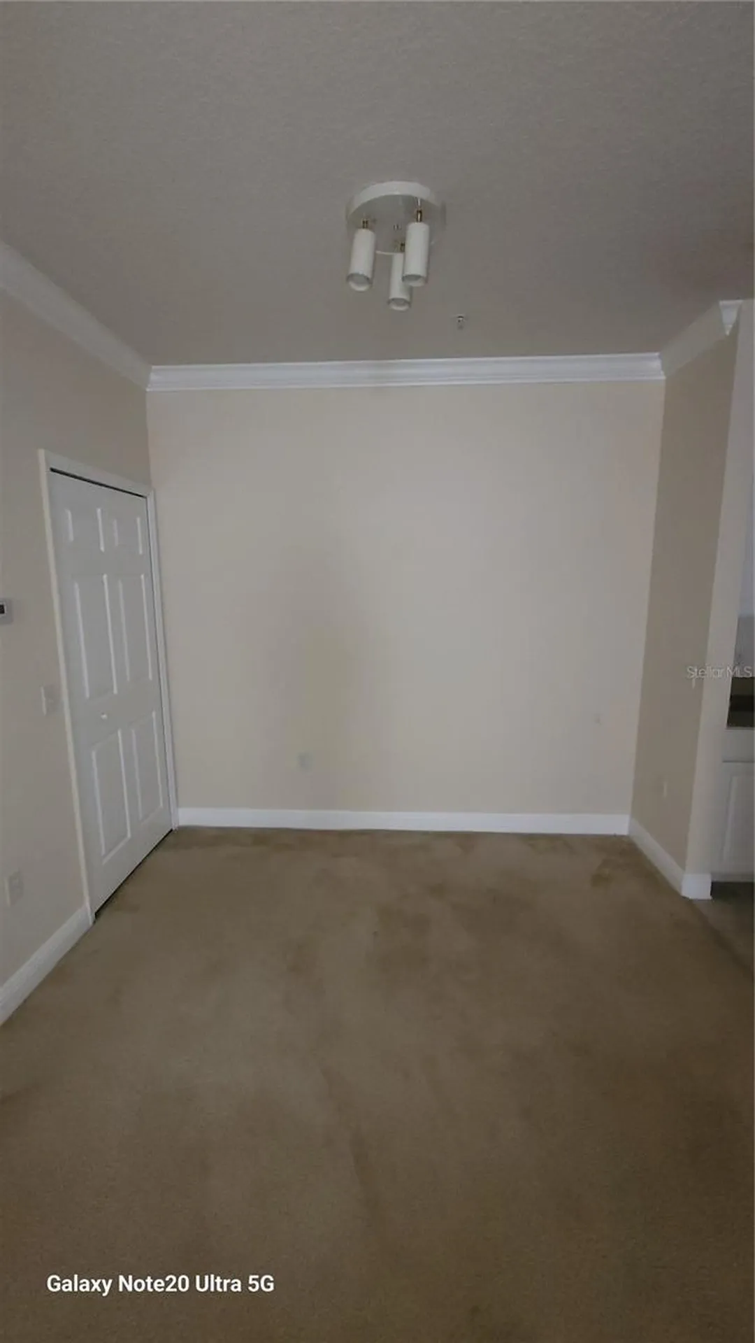 430 Southern Pecan Circle Winter Garden FL 34787
