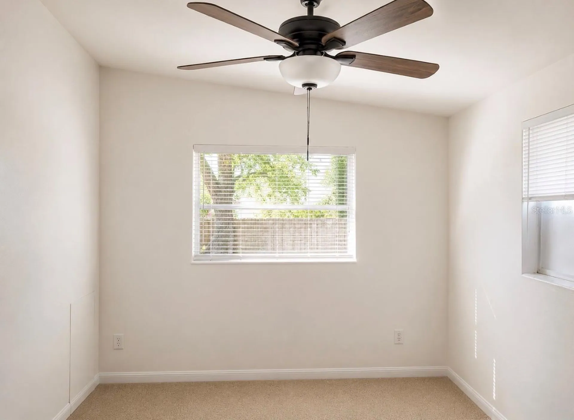446 New York Avenue Dunedin FL 34698