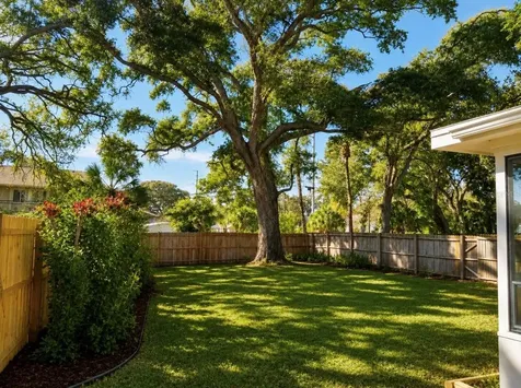 446 New York Avenue Dunedin FL 34698