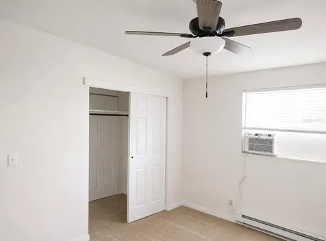 446 New York Avenue Dunedin FL 34698