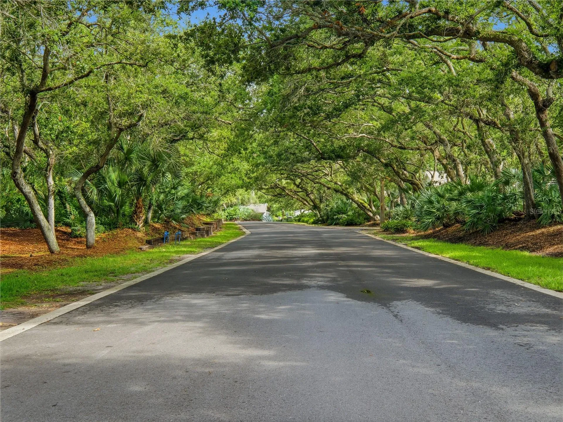 4438 Sea Mist Drive New Smyrna Beach FL 32169