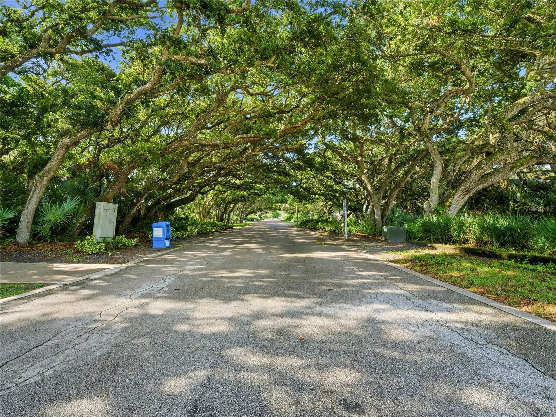 4438 Sea Mist Drive New Smyrna Beach FL 32169