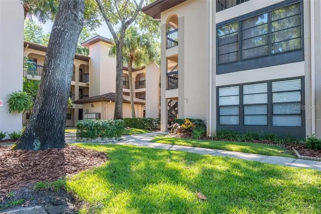 3399 Mermoor Drive Palm Harbor FL 34685