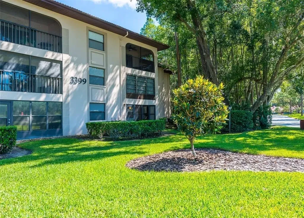 3399 Mermoor Drive Palm Harbor FL 34685