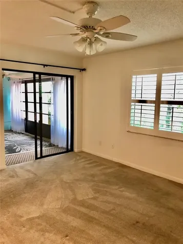 3399 Mermoor Drive Palm Harbor FL 34685