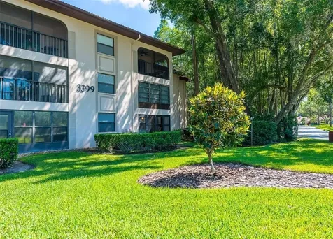 3399 Mermoor Drive Palm Harbor FL 34685