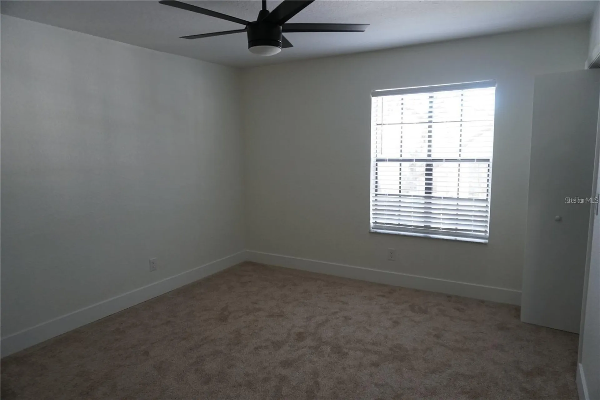 2404 Brigadoon Drive Clearwater FL 33759