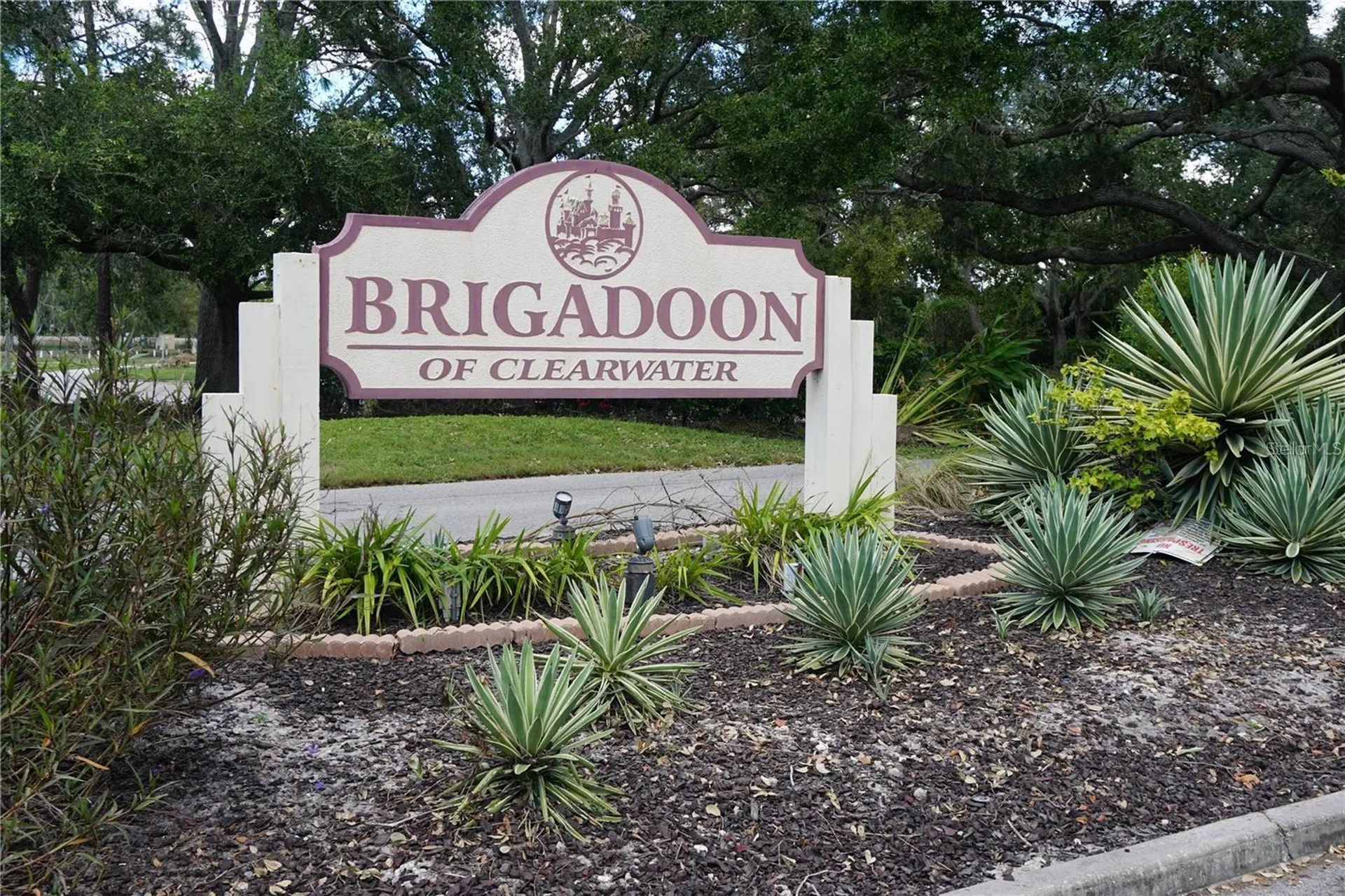2404 Brigadoon Drive Clearwater FL 33759