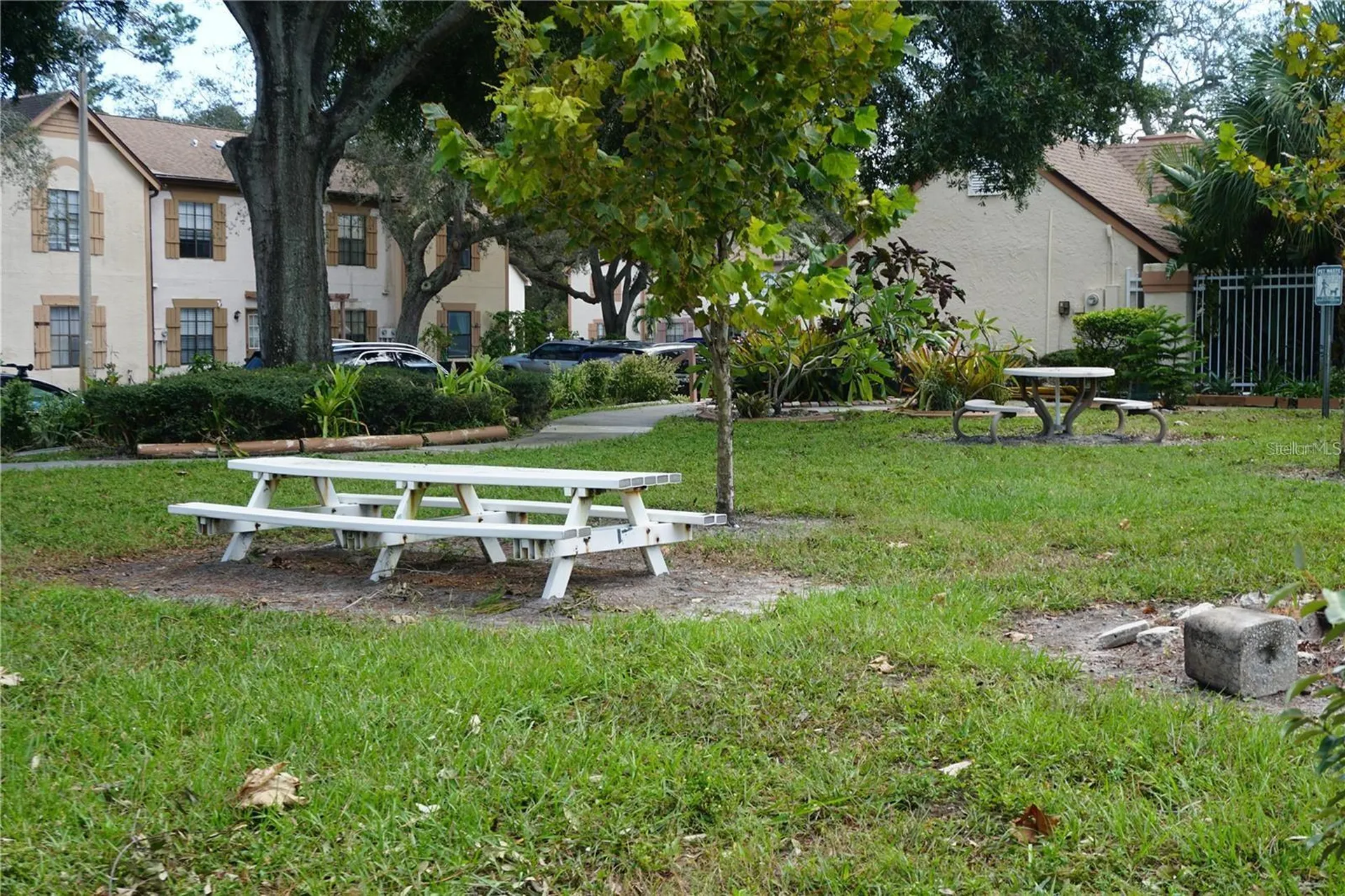 2404 Brigadoon Drive Clearwater FL 33759