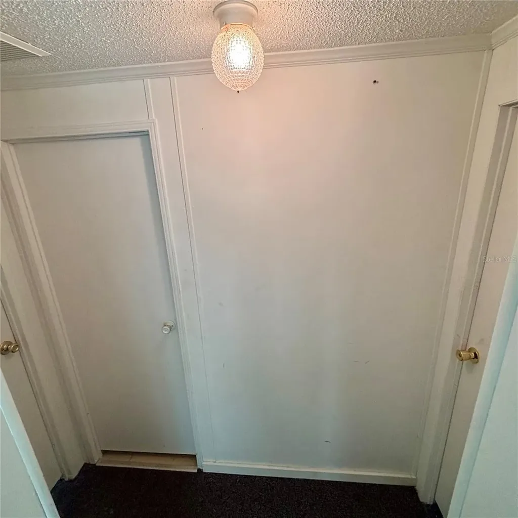 Webster FL 33597