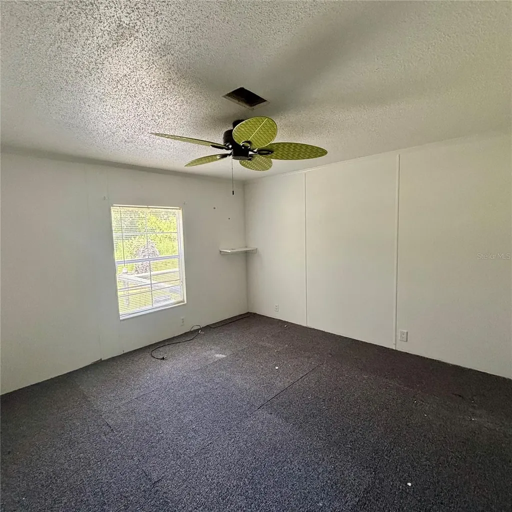 Webster FL 33597