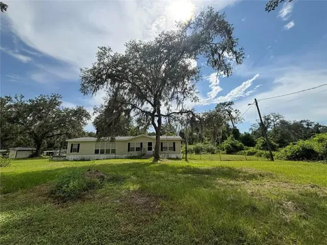 Webster FL 33597