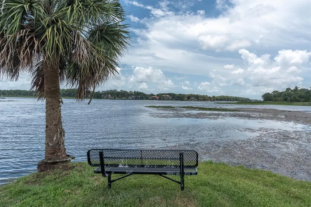 4270 Cove Drive Palm Harbor FL 34685
