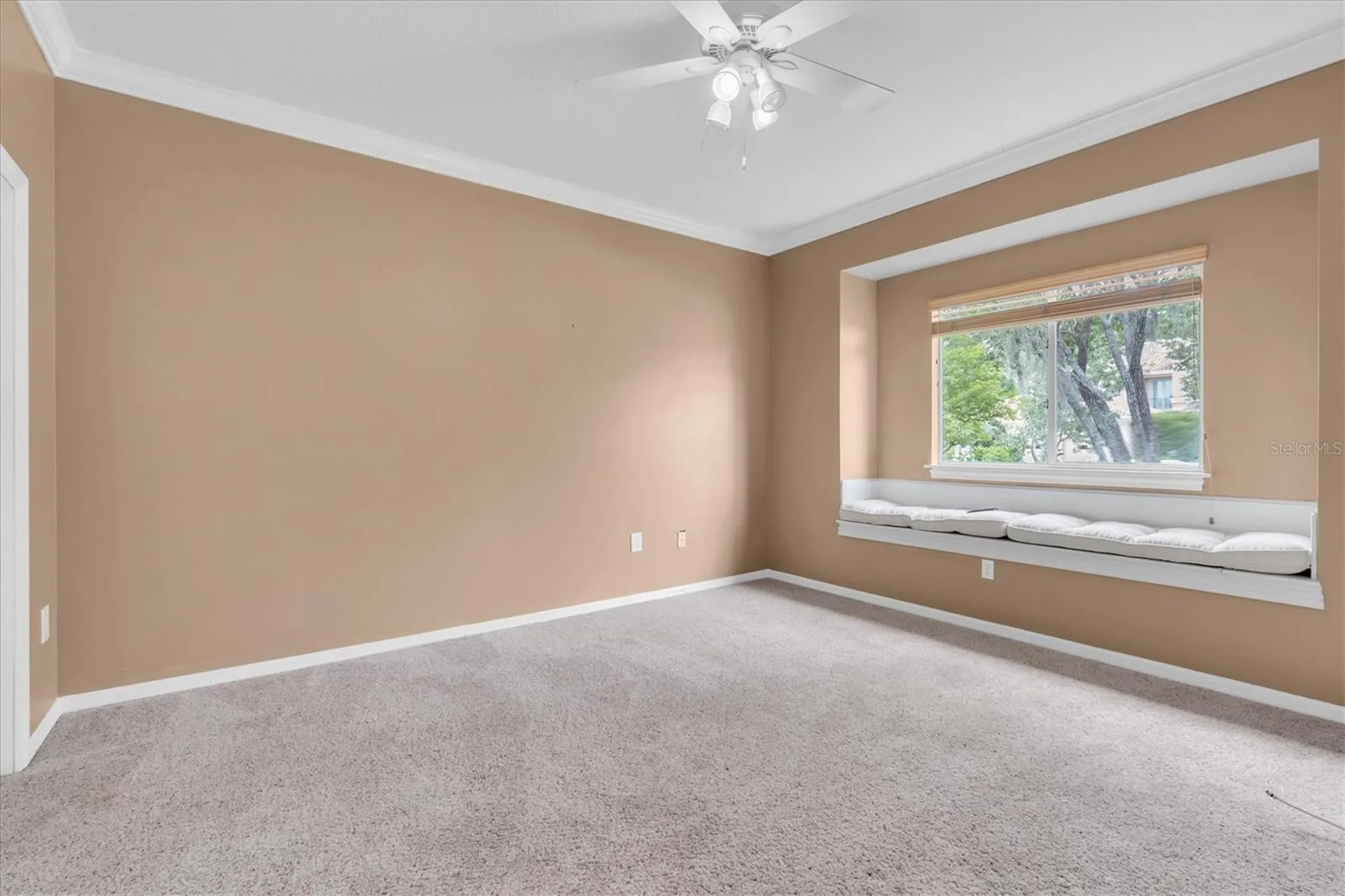 4270 Cove Drive Palm Harbor FL 34685