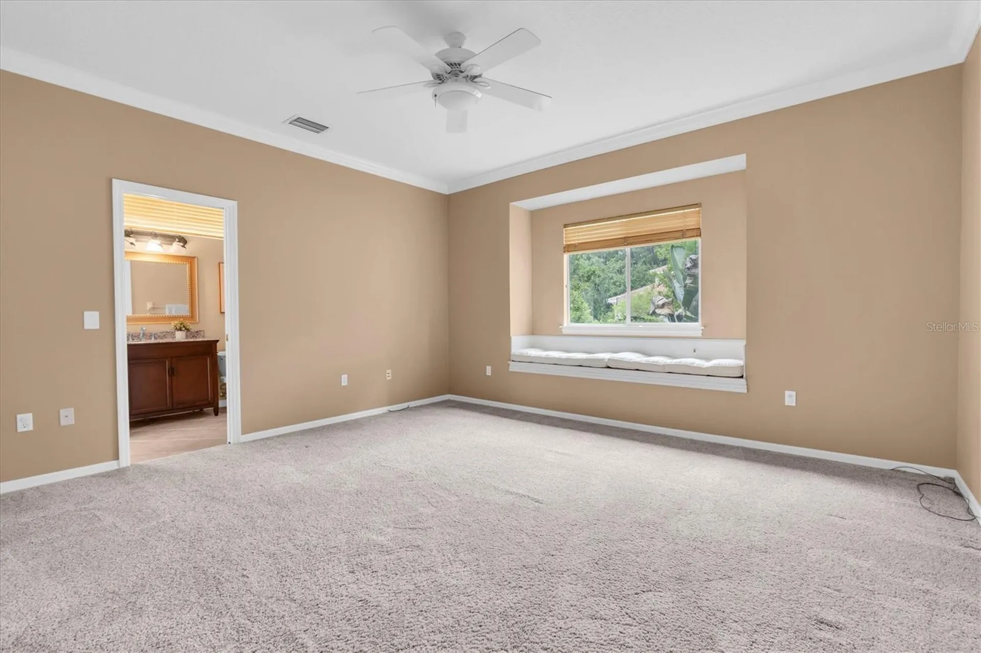 4270 Cove Drive Palm Harbor FL 34685
